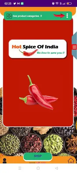 Play Hot Spice of India as an online game Hot Spice of India with UptoPlay