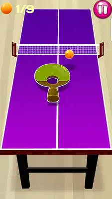 Play Hot Table Tennis