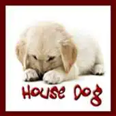 Free play online HOUSE DOG APK Free play online HOUSE DOG APK