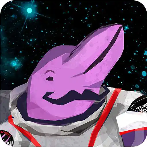 Play Houston, we have a Dolphin! - App for the cards APK Play Houston, we have a Dolphin! - App for the cards APK