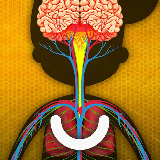 Play How does The Human Body Work? APK Play How does The Human Body Work? APK