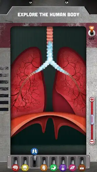 Play How does The Human Body Work?  and enjoy How does The Human Body Work? with UptoPlay