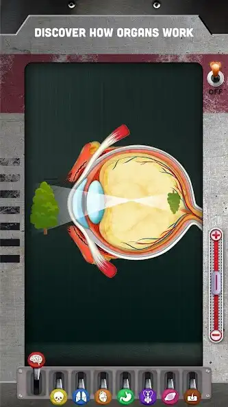 Play How does The Human Body Work? as an online game How does The Human Body Work? with UptoPlay