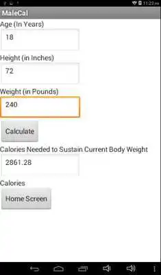 Play How Many Calories Should I Eat