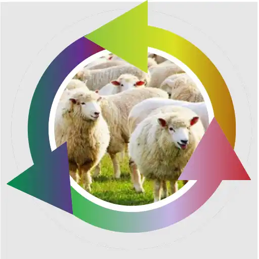 Play How to breed a successful sheep APK Play How to breed a successful sheep APK