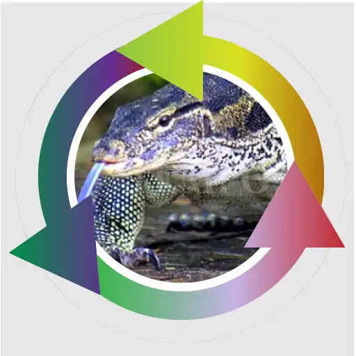 Play How to breed monitor lizards APK
