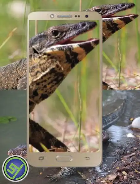 Play How to breed monitor lizards as an online game How to breed monitor lizards with UptoPlay