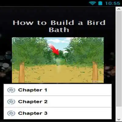 Play How to Build a Bird Bath