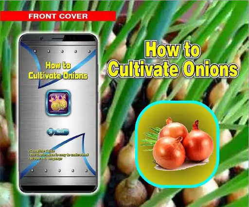 Play How to Cultivate Onions  and enjoy How to Cultivate Onions with UptoPlay