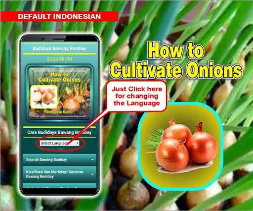 Play How to Cultivate Onions as an online game How to Cultivate Onions with UptoPlay