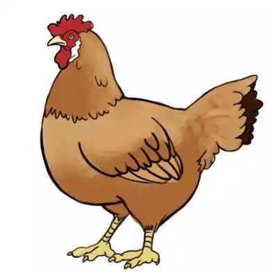 Play How to Draw a Chicken