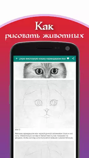 Play How to draw animals  and enjoy How to draw animals with UptoPlay