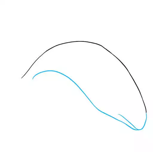 Play How To Draw Animals Step by Step