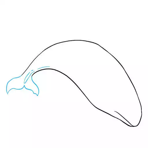 Play How To Draw Animals Step by Step