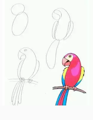 Play How to draw a parrot