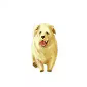 Free play online How to Draw a Puppy APK