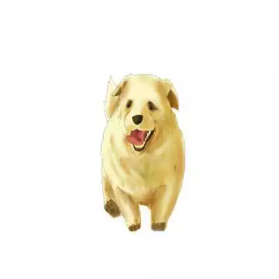 Play How to draw a puppy as an online game How to draw a puppy with UptoPlay