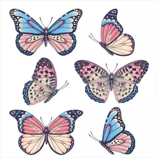 Play How To Draw Butterfly APK Play How To Draw Butterfly APK