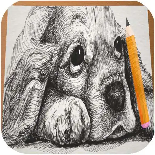 Run free android online How to Draw Dogs APK