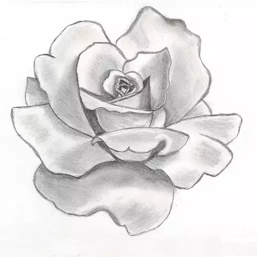 Free play online How to draw flowers APK Free play online How to draw flowers APK