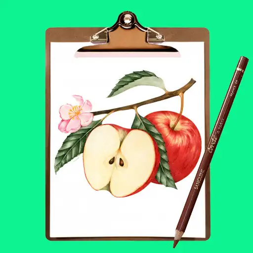 Play How to Draw Fruit Step by Step APK