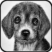 Free play online How to draw pencil drawings APK Free play online How to draw pencil drawings APK