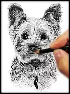 Play How to draw pencil drawings