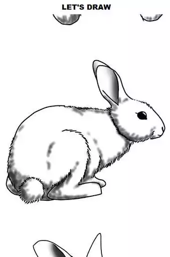 Play APK How to Draw Rabbits  and enjoy How to Draw Rabbits with UptoPlay com.mobincube.android.sc_3DBVUN