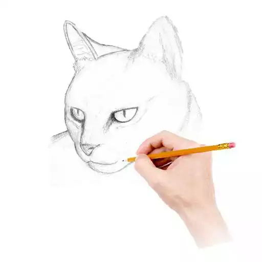 Run free android online How To Draw Warrior Cats APK