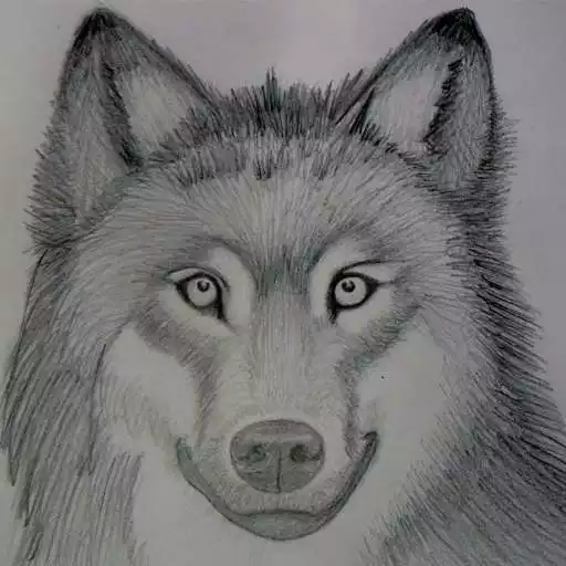 Play How to draw wolves APK Play How to draw wolves APK