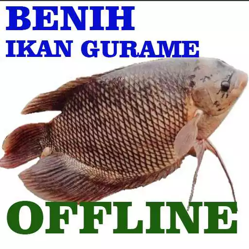Play How to Fish Carp Gurame APK