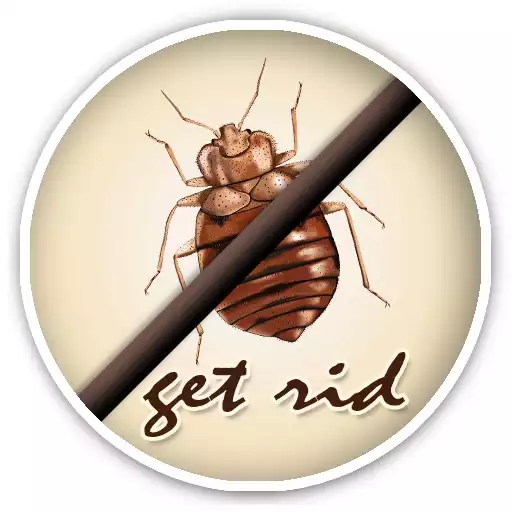 Play How To Get Rid Of Bed Bugs APK Play How To Get Rid Of Bed Bugs APK