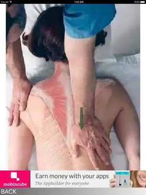Play How to give a great massage