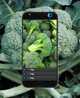 Play How to Grow Broccoli  and enjoy How to Grow Broccoli with UptoPlay
