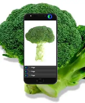 Play How to Grow Broccoli as an online game How to Grow Broccoli with UptoPlay