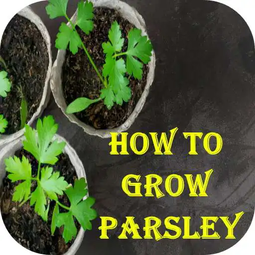 Play How to Grow Parsley APK