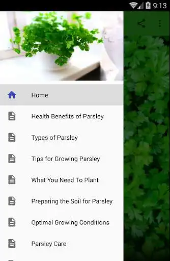 Play How to Grow Parsley  and enjoy How to Grow Parsley with UptoPlay