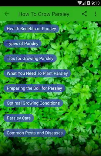 Play How to Grow Parsley as an online game How to Grow Parsley with UptoPlay