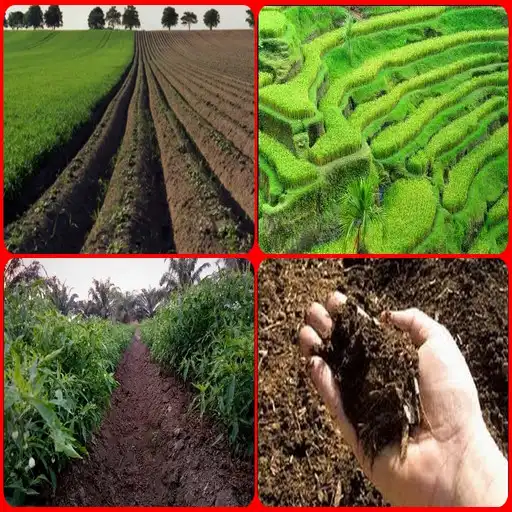 Play How to loose soil APK