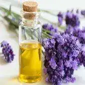 Free play online HOW TO MAKE ESSENTIAL OIL 2019 APK Free play online HOW TO MAKE ESSENTIAL OIL 2019 APK