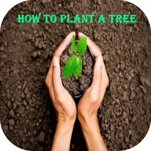 Play How to Plant a Tree APK