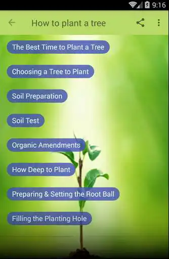 Play How to Plant a Tree as an online game How to Plant a Tree with UptoPlay