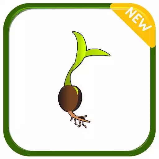 Play How to Plant Vegetables APK