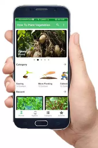 Play How to Plant Vegetables as an online game How to Plant Vegetables with UptoPlay