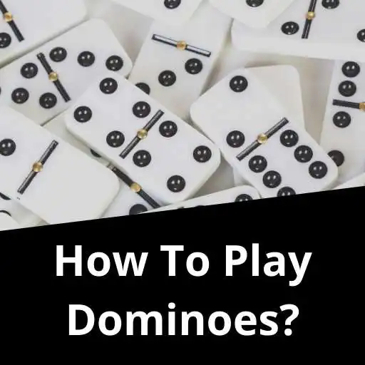 Play How to Play Dominoes Game APK