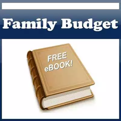 Play How To Set Up A Family Budget!