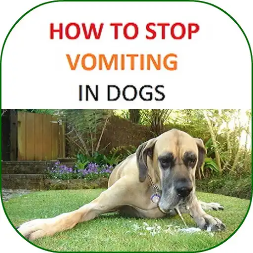 Play How to Stop Vomiting in Dogs APK Play How to Stop Vomiting in Dogs APK