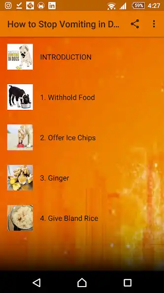 Play How to Stop Vomiting in Dogs  and enjoy How to Stop Vomiting in Dogs with UptoPlay