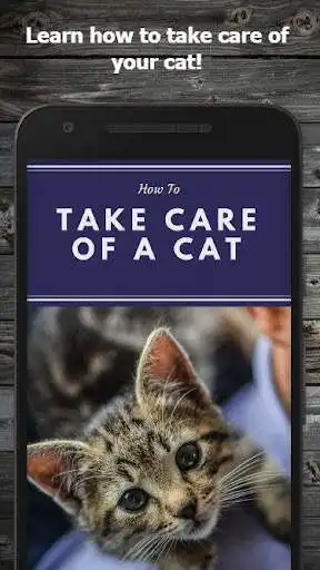 Play How to Take Care of a Cat Guide  and enjoy How to Take Care of a Cat Guide with UptoPlay