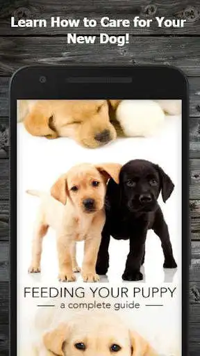 Play How to Take Care of a Puppy (Guide)  and enjoy How to Take Care of a Puppy (Guide) with UptoPlay